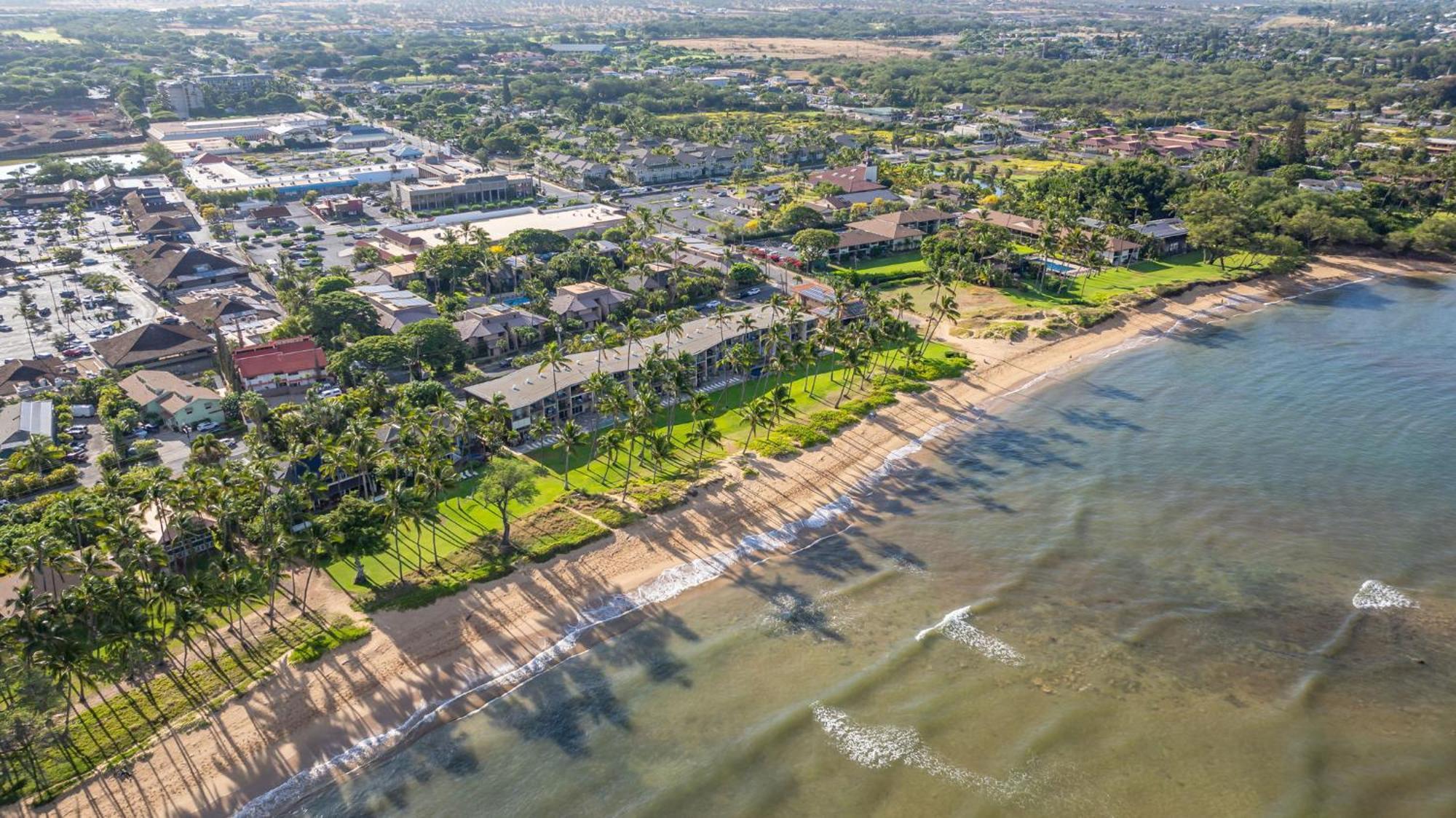 Hale Kai O'Kihei 317 Leilighet Eksteriør bilde