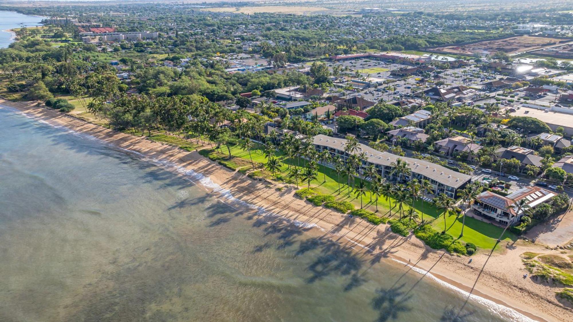 Hale Kai O'Kihei 317 Leilighet Eksteriør bilde