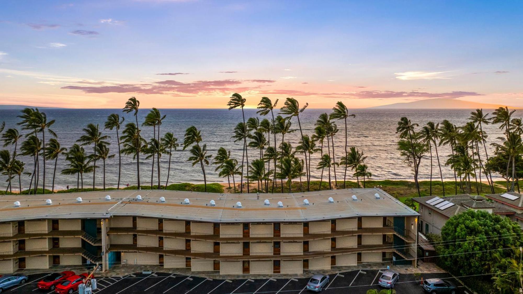 Hale Kai O'Kihei 317 Leilighet Eksteriør bilde