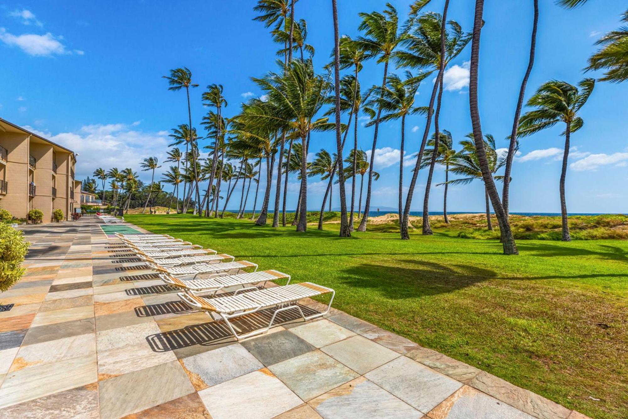 Hale Kai O'Kihei 317 Leilighet Eksteriør bilde
