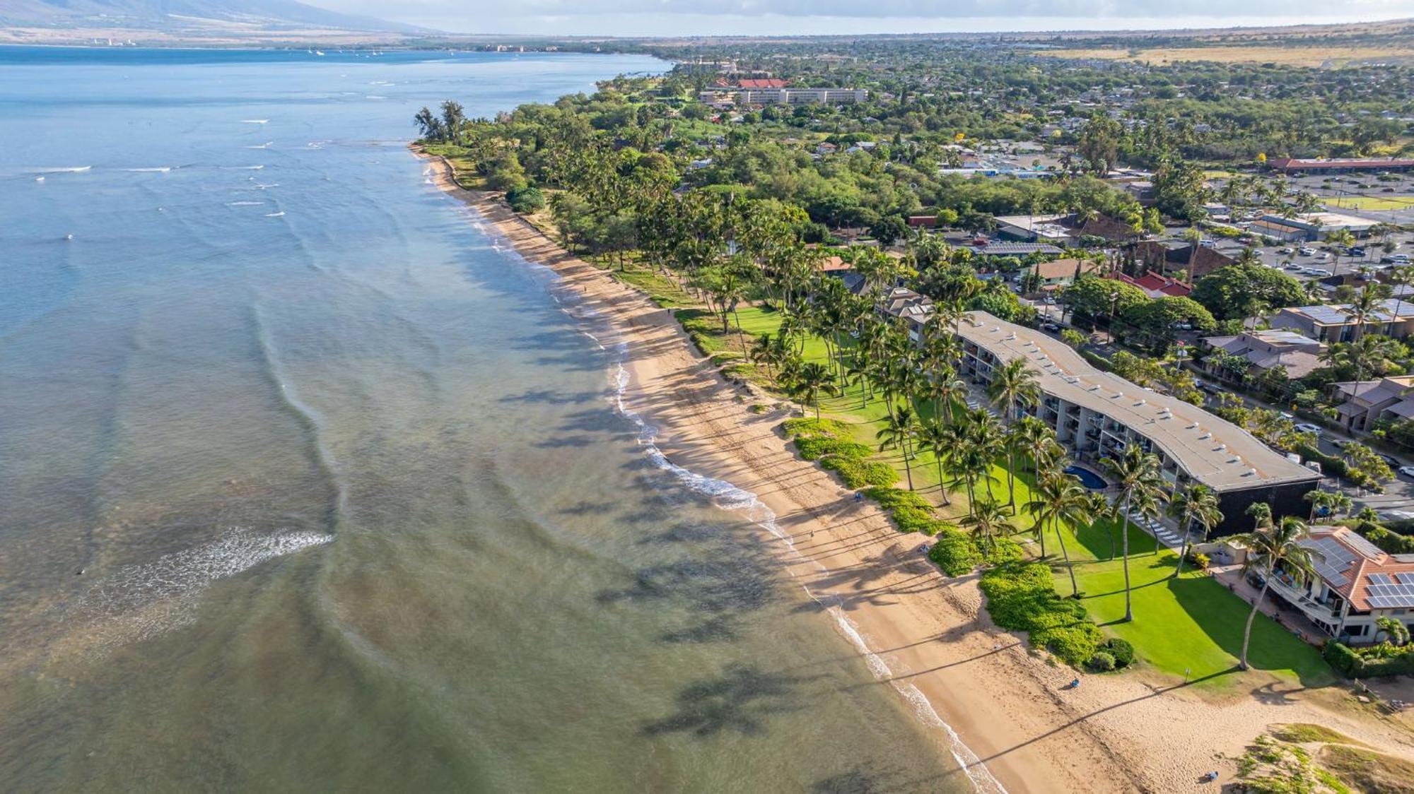 Hale Kai O'Kihei 317 Leilighet Eksteriør bilde