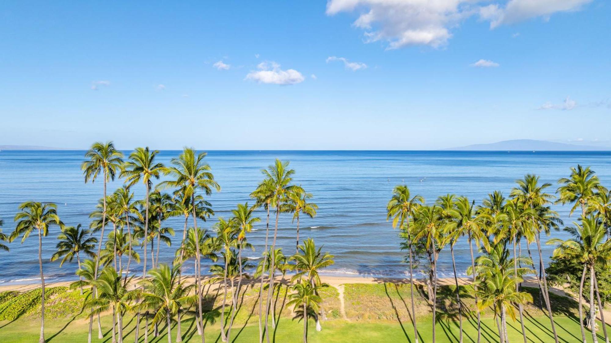 Hale Kai O'Kihei 317 Leilighet Eksteriør bilde