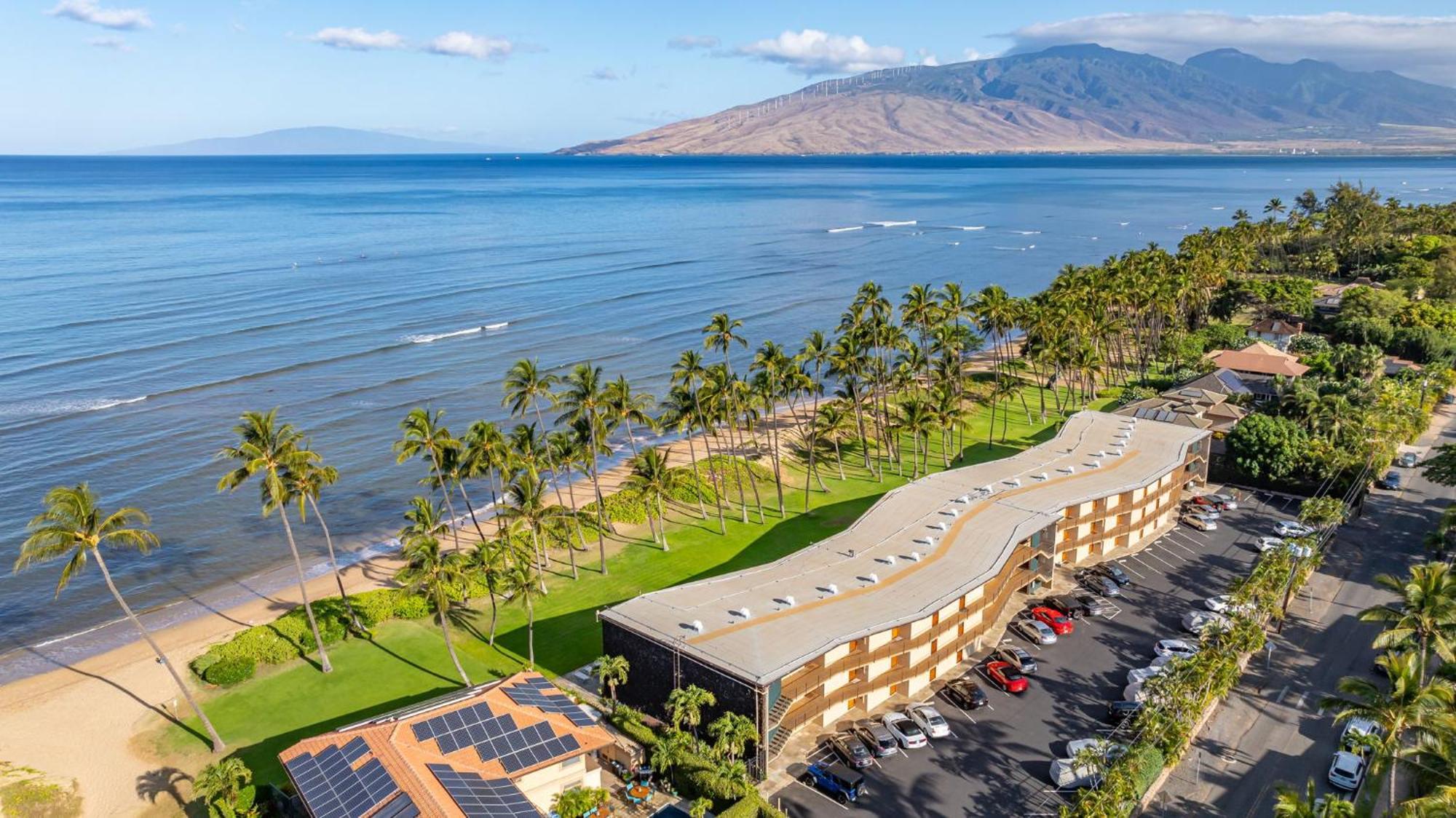 Hale Kai O'Kihei 317 Leilighet Eksteriør bilde