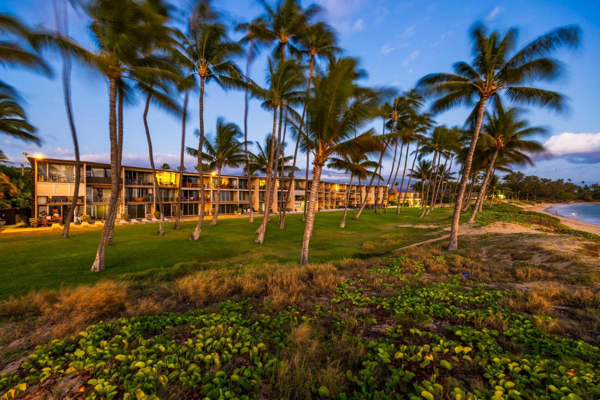 Hale Kai O'Kihei 317 Leilighet Eksteriør bilde