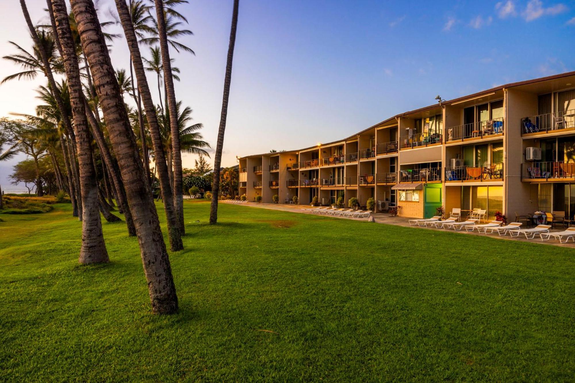 Hale Kai O'Kihei 317 Leilighet Eksteriør bilde