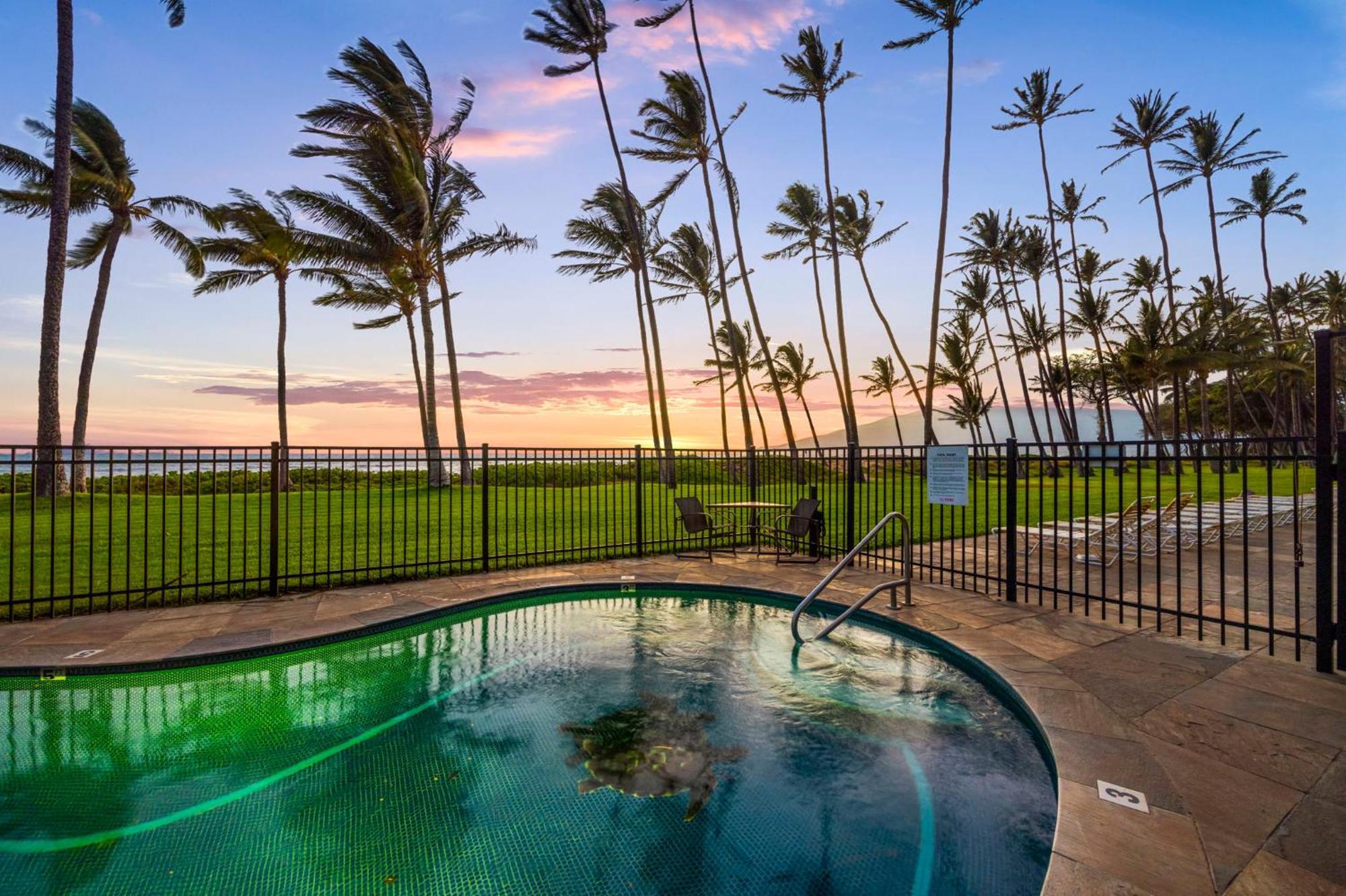 Hale Kai O'Kihei 317 Leilighet Eksteriør bilde