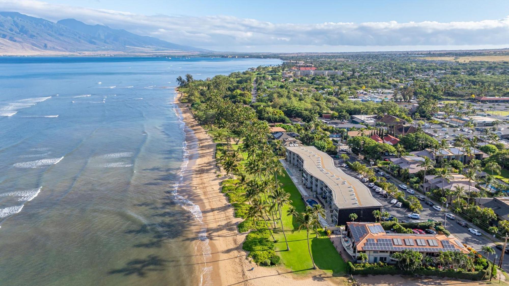 Hale Kai O'Kihei 317 Leilighet Eksteriør bilde