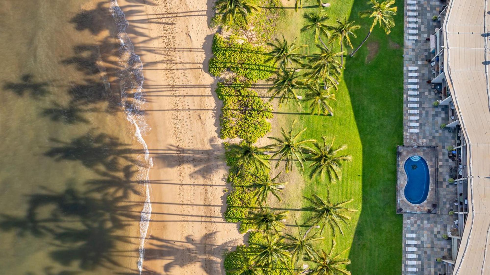 Hale Kai O'Kihei 317 Leilighet Eksteriør bilde