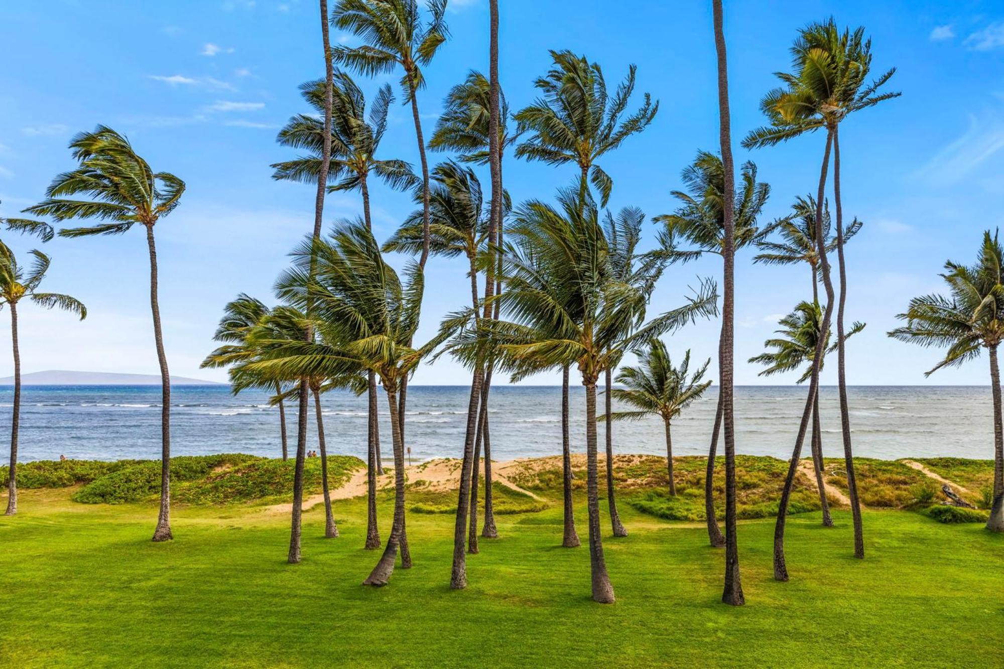 Hale Kai O'Kihei 317 Leilighet Eksteriør bilde