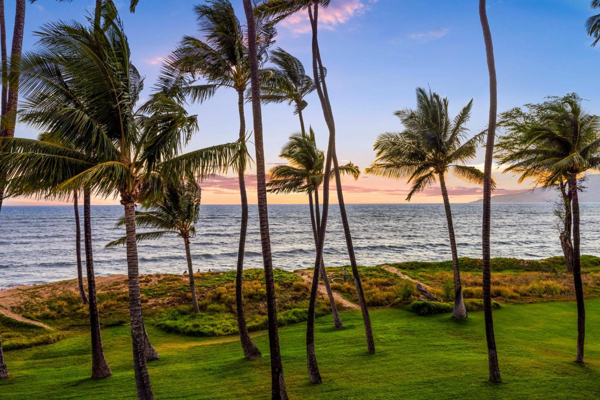 Hale Kai O'Kihei 317 Leilighet Eksteriør bilde