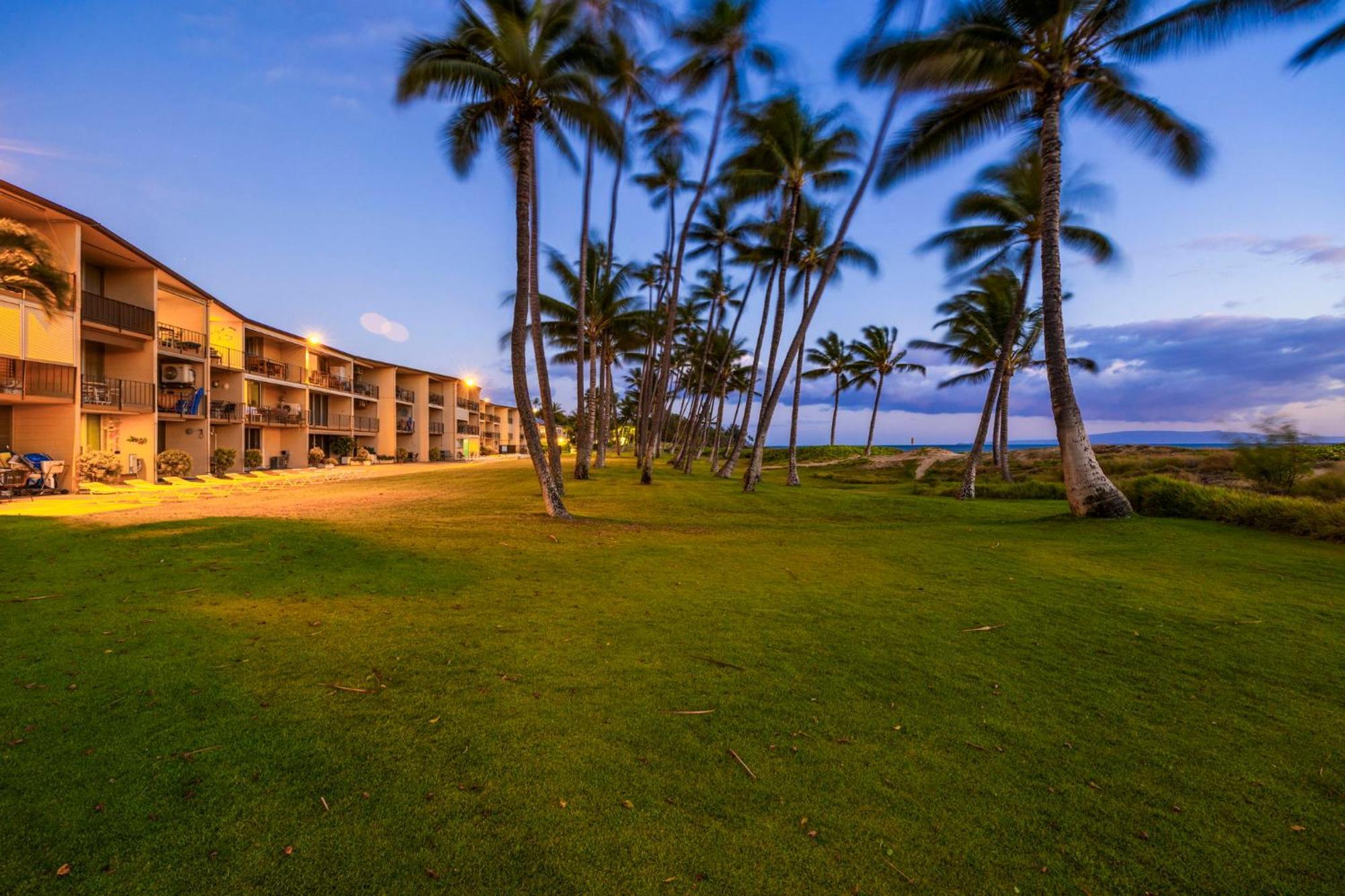 Hale Kai O'Kihei 317 Leilighet Eksteriør bilde