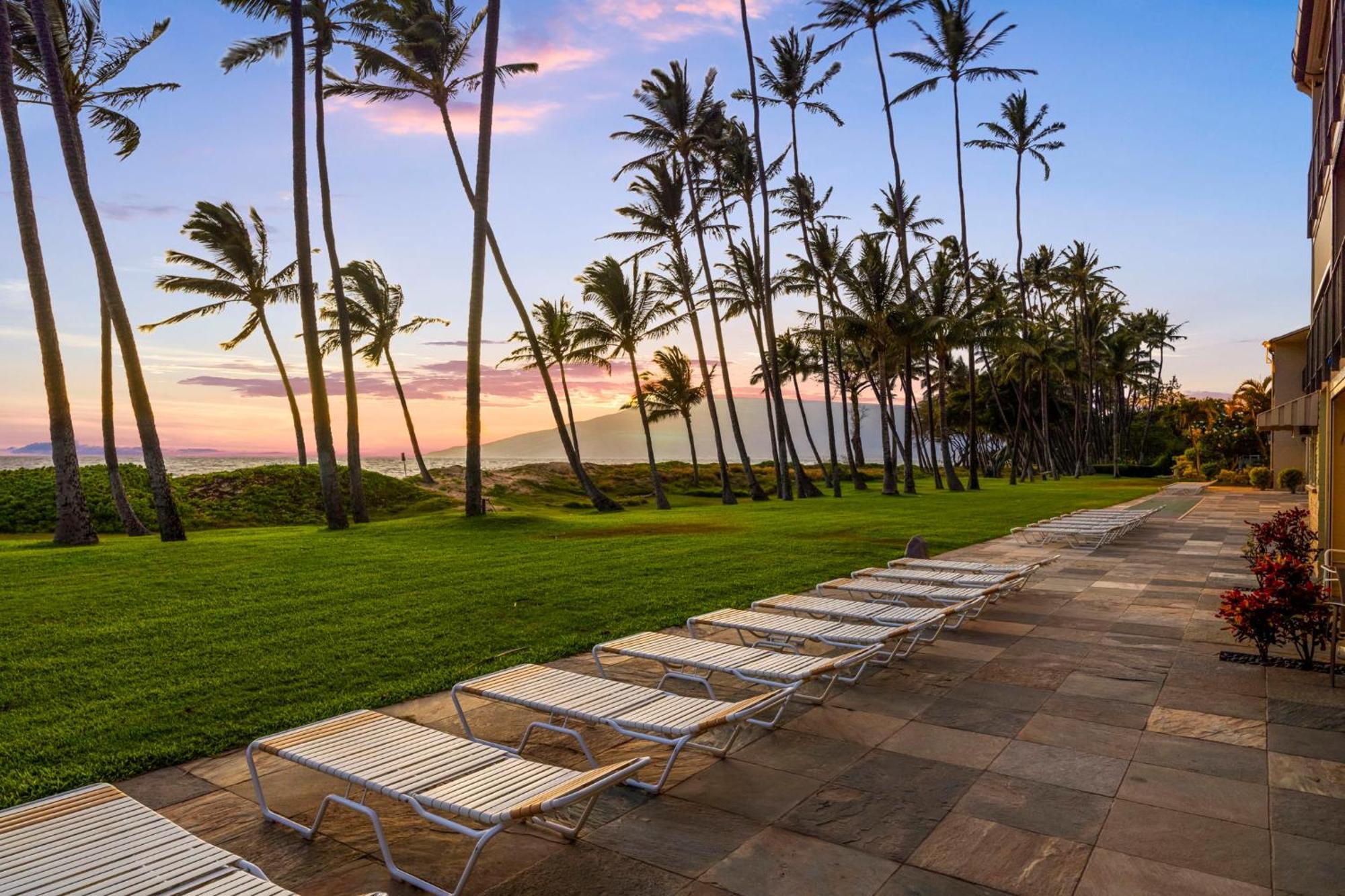 Hale Kai O'Kihei 317 Leilighet Eksteriør bilde