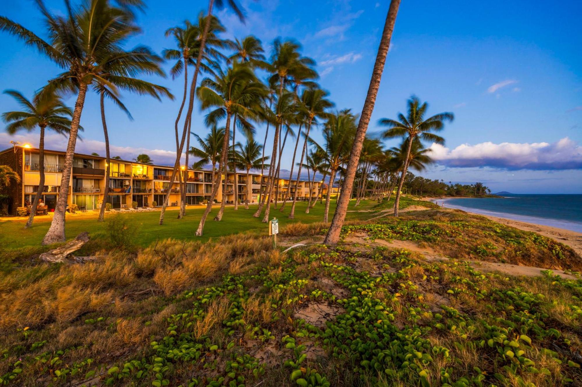 Hale Kai O'Kihei 317 Leilighet Eksteriør bilde